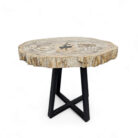 Natural-Petrified-Stone-Table-Main-BUK9500.jpg