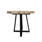 Natural-Petrified-Stone-Table-Main-BUK9502.jpg