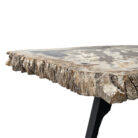 Natural-Petrified-Stone-Table-Main-Close-Up-BUK9501.jpg