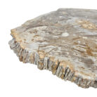 Natural-Petrified-Stone-Table-Main-Close-UpBUK9502.jpg