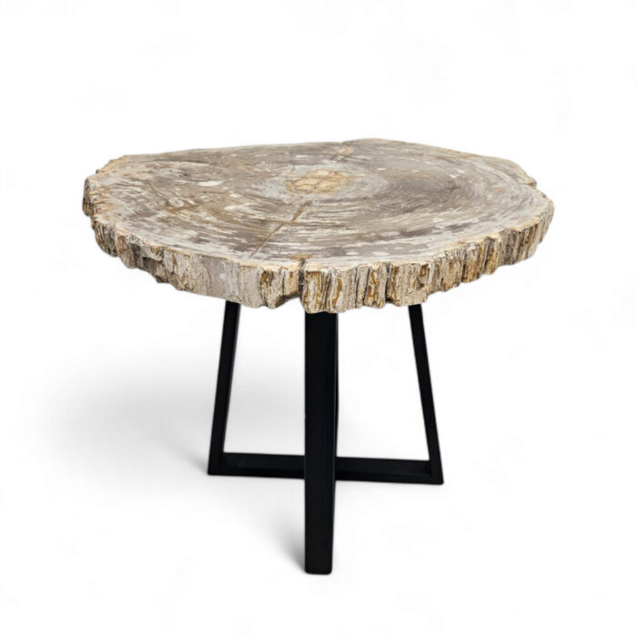 Natural-Petrified-Stone-Table-Main-Front-BUK9502.jpg