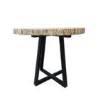 Natural-Petrified-Stone-Table-Main-Front-BUK9503.jpg