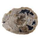 Natural-Petrified-Stone-Table-Top-BUK9503.jpg