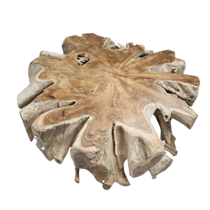 Organic-Round-Teak-Root-Coffee-Table-Full-Top.jpg