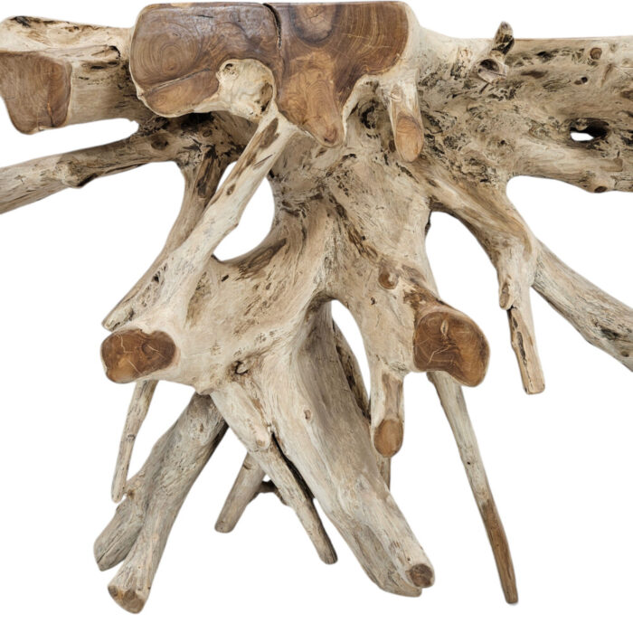 Organic-Teak-Root-Console-Table-Front-Close-Up.jpg