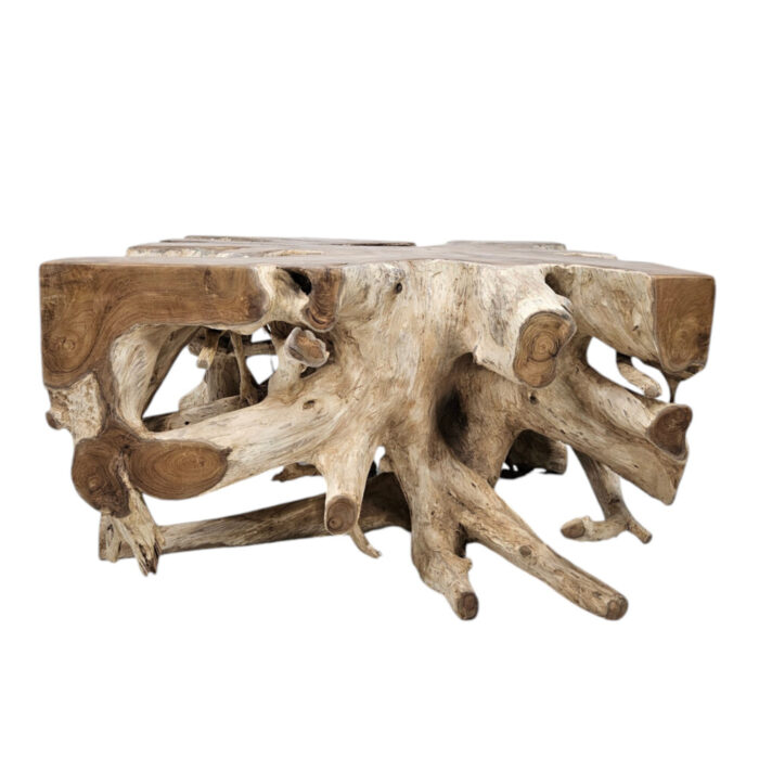Organic-Teak-Root-Square-Coffee-Table-Front.jpg