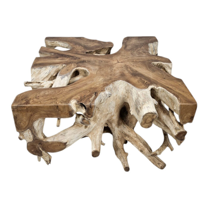 Organic-Teak-Root-Square-Coffee-Table-Top.jpg