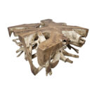 Organic-Teak-Root-Square-Coffee-Table-Top-Side.jpg