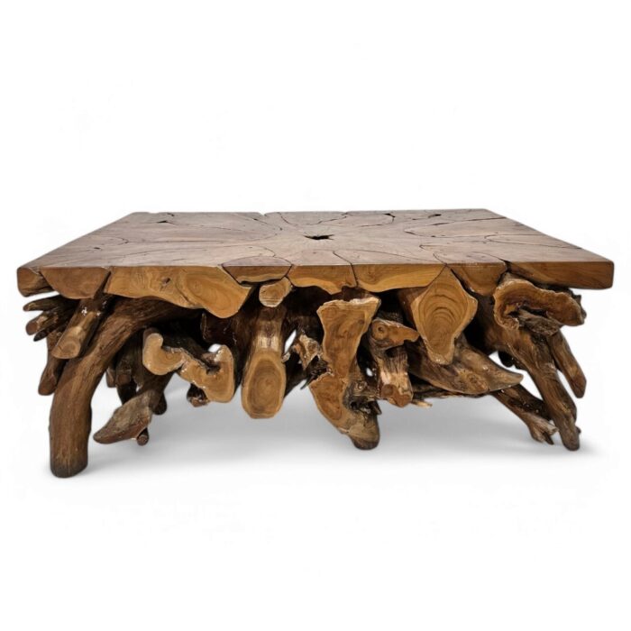 Puzzle-Root-Coffee-Table-Main