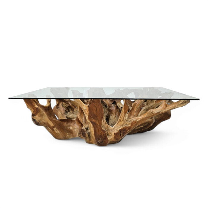 Rectangle-Root-Coffee-Table-INJ4720A4-Front.jpg