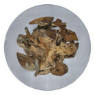 Root-Coffee-Table-Round-INJ3200A2-TOP.jpg
