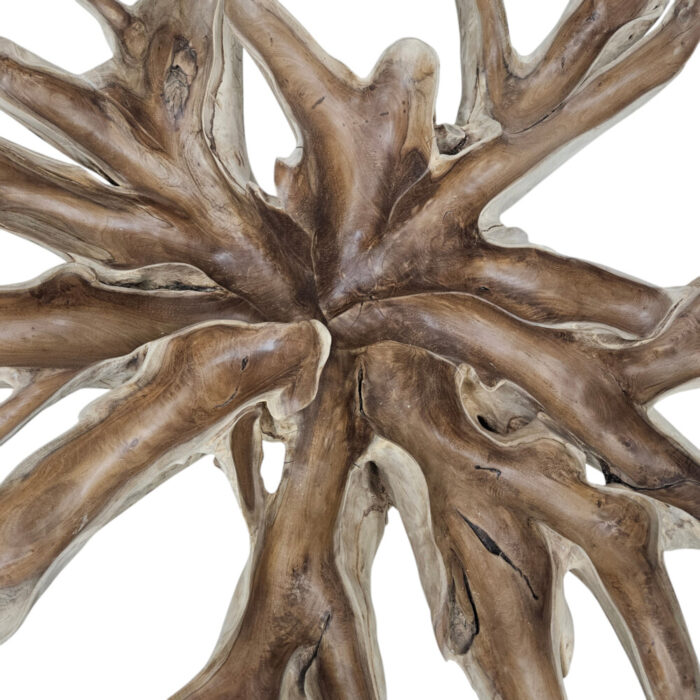Root-Scoop-Dining-Table-Top-Close-INJ0757A6-Close-Up.jpg