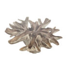 Root-Scoop-Dining-Table-Top-Close-INJ0757A6-Full-Top.jpg