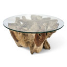 Round-Erosi-Root-Coffee-Table-INJ3200A19-Main.jpg