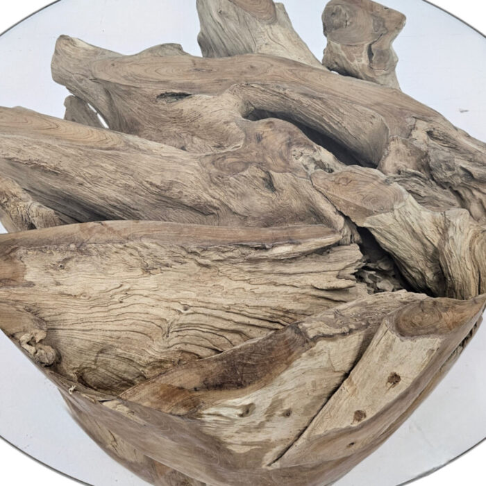 Round-Erosi-Root-Coffee-Table-INJ3200A20-Close.jpg