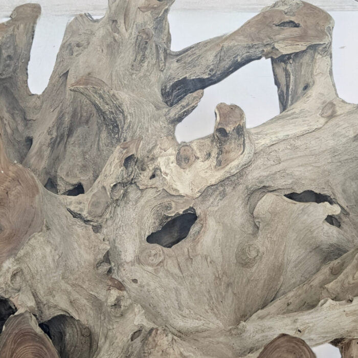 Round-Erosi-Root-Coffee-Table-INJ3400A9-Close.jpg