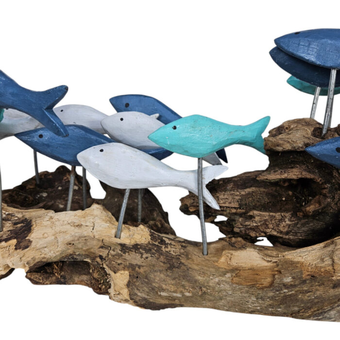 Swimming-Fish-On-Driftwood-Close-Front.jpg