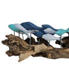 Swimming-Fish-On-Driftwood-Close-Up.jpg