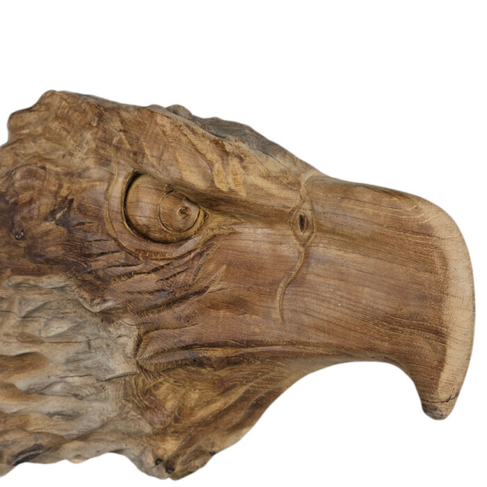 Teak-Bald-Eagle-Bust-Close-Up.jpg