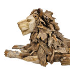 Teak-Lion-Resting-Close-Up.jpg