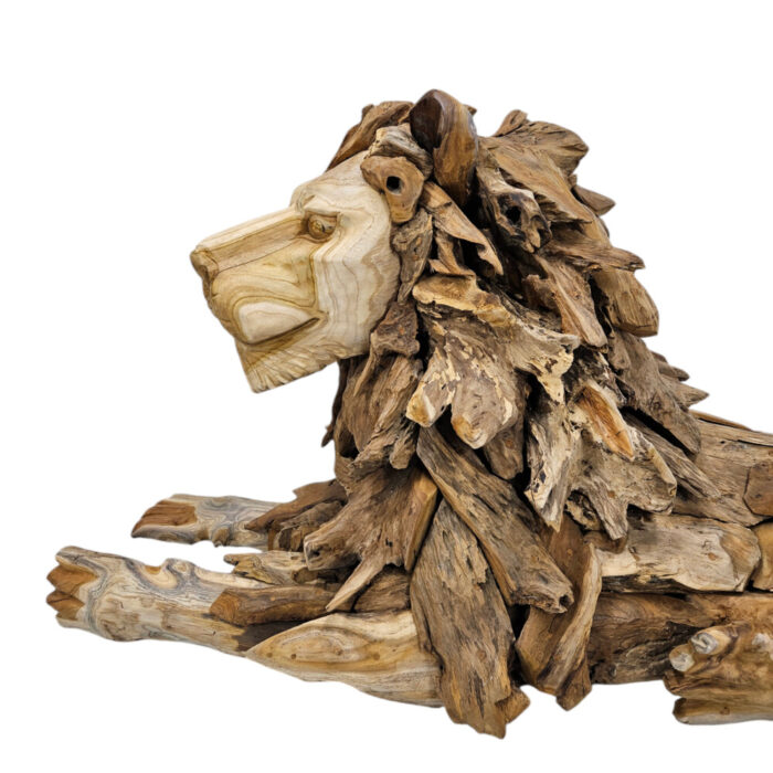 Teak-Lion-Resting-Close-Up.jpg
