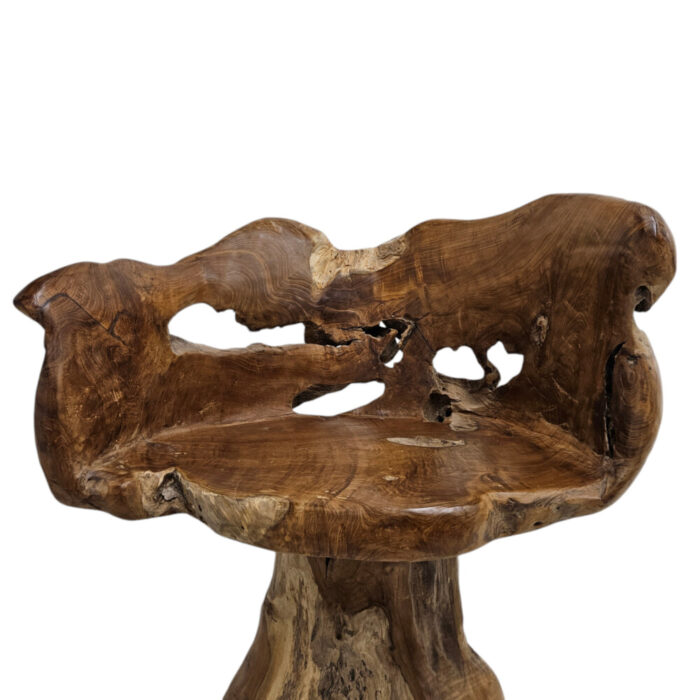 Teak-Root-Chair-Close-Up.jpg
