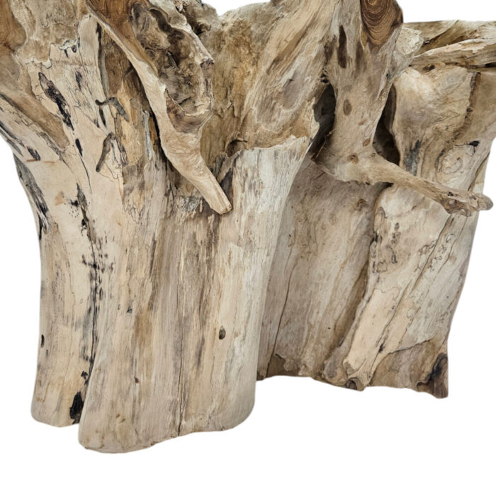 Teak-Root-Cofee-Table-Square-Erosi-INJ4605A2-Close.jpg