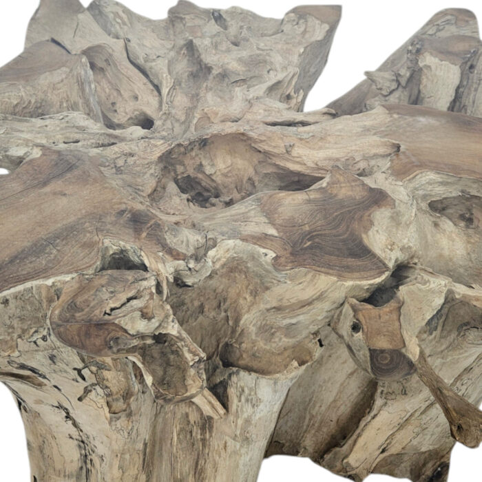 Teak-Root-Cofee-Table-Square-Erosi-INJ4605A2-Close-Up.jpg