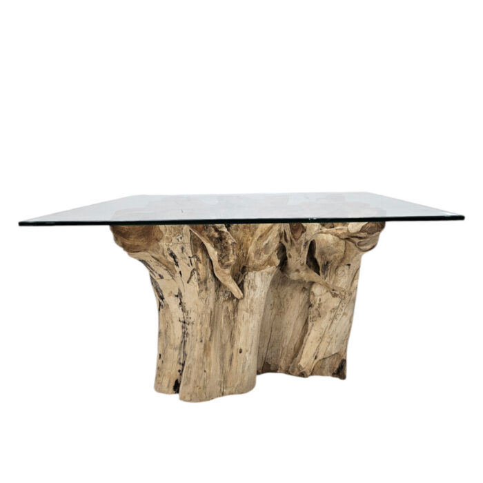 Teak-Root-Cofee-Table-Square-Erosi-INJ4605A2-Front.jpg