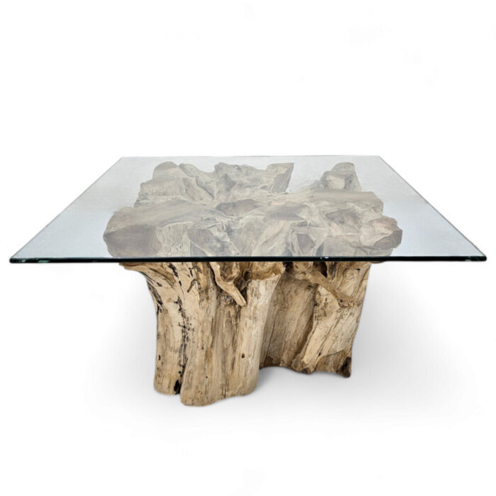 Teak-Root-Cofee-Table-Square-Erosi-INJ4605A2-Main.jpg