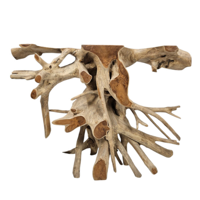 Teak-Root-Console-Table-INJ4970A2.jpg