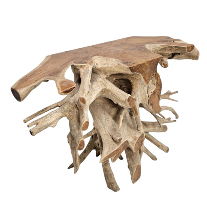 Teak-Root-Console-Table-INJ4970A2-Side.jpg