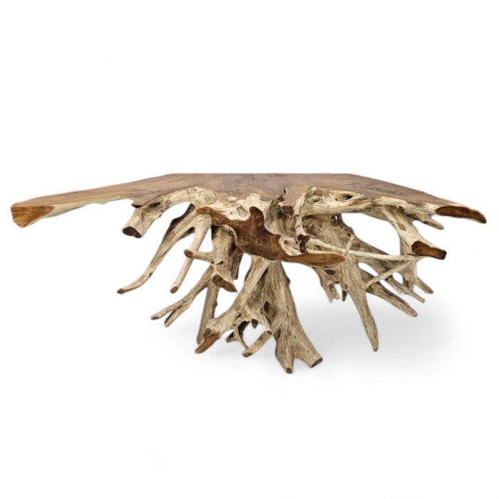 Teak-Root-Console-Table-INJ5058A3.jpg