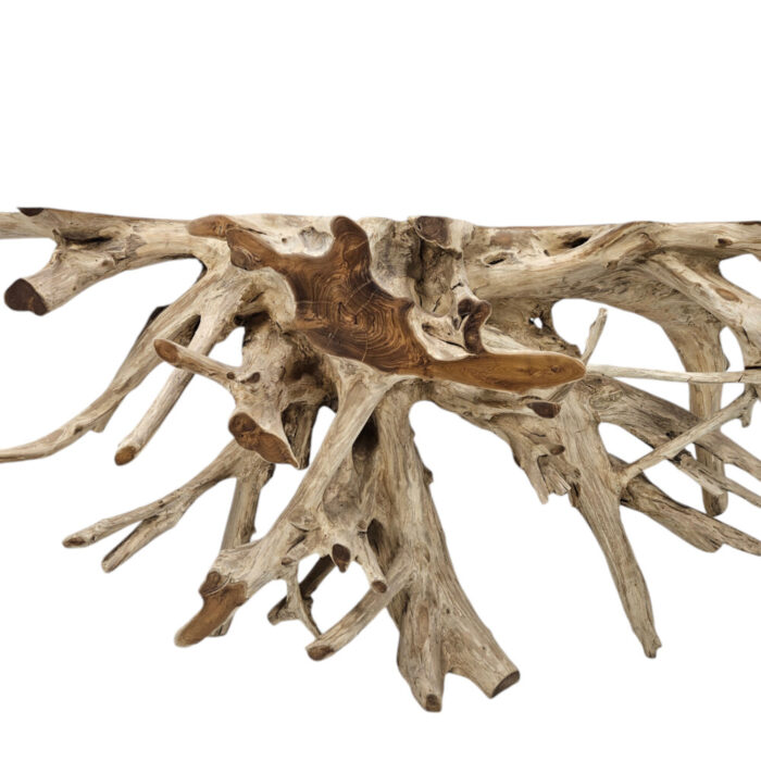 Teak-Root-Console-Table-INJ5058A3-Close.jpg