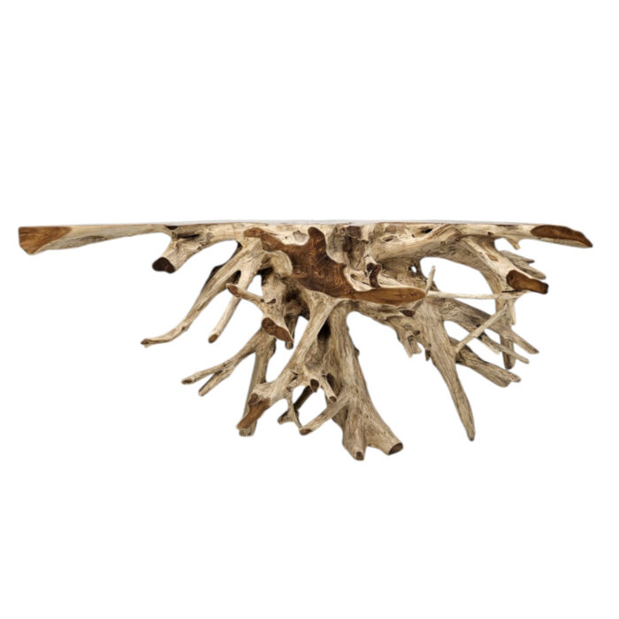 Teak-Root-Console-Table-INJ5058A3-Front.jpg
