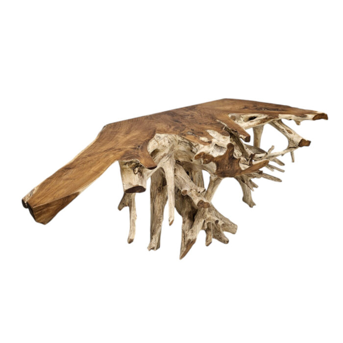 Teak-Root-Console-Table-INJ5058A3-Side.jpg