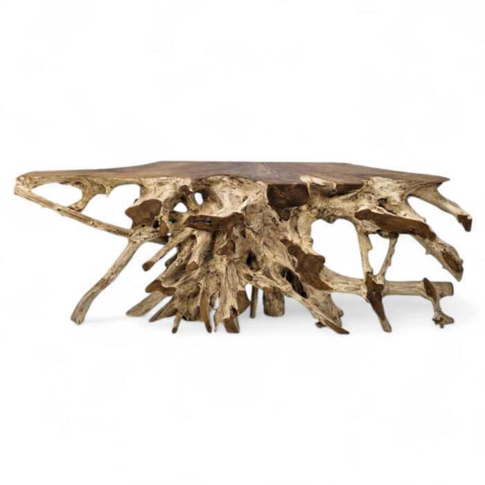 Teak-Root-Console-Table-INJ5450A1.jpg
