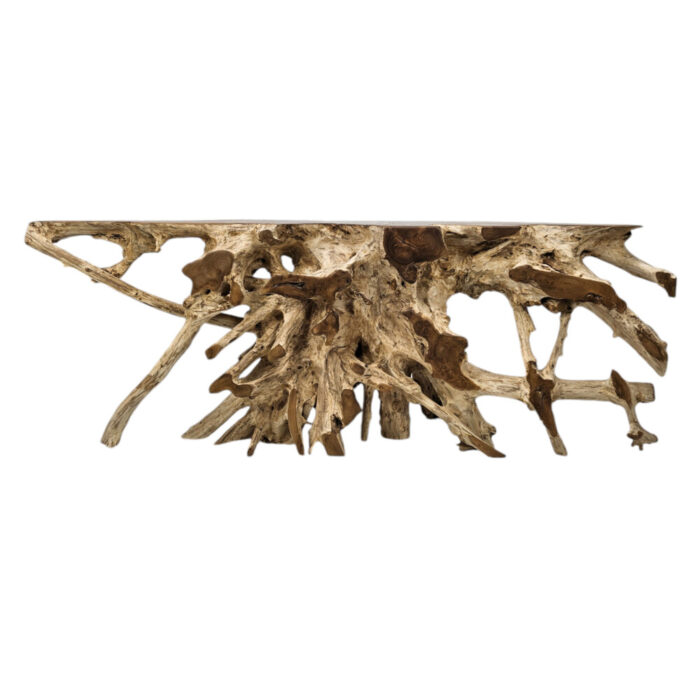 Teak-Root-Console-Table-INJ5450A1-Front.jpg