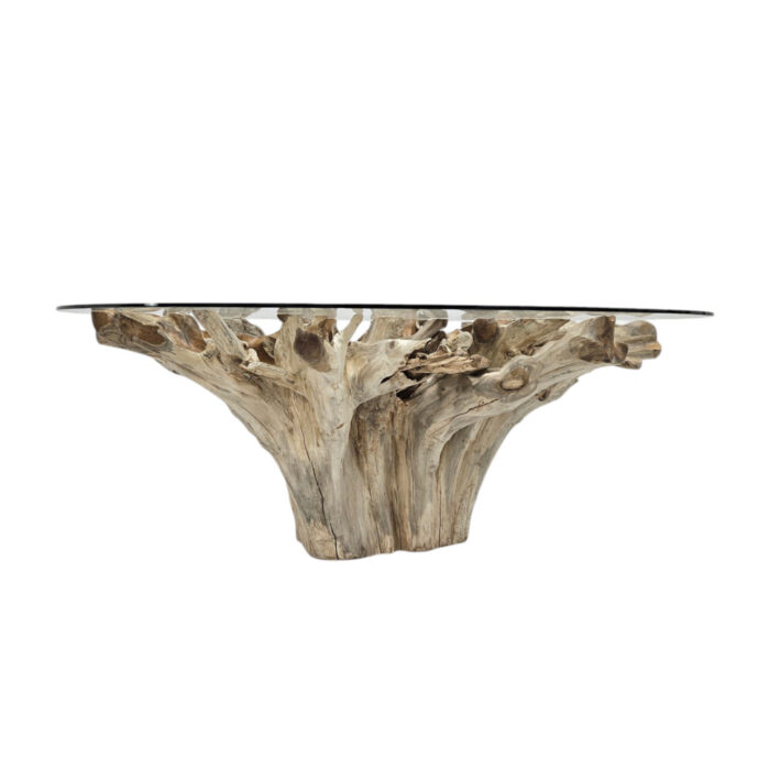 Teak-Root-Scoop-Dining-Table-INJ0770A1-Front.jpg