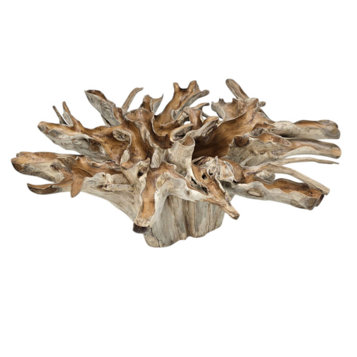 Teak-Root-Scoop-Dining-Table-INJ0770A1-No-Glass.jpg