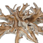 Teak-Root-Scoop-Dining-Table-INJ0770A1-Root-Close.jpg
