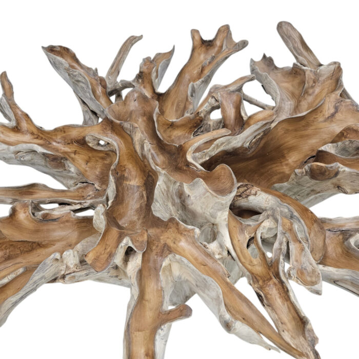 Teak-Root-Scoop-Dining-Table-INJ0770A1-Root-Close.jpg