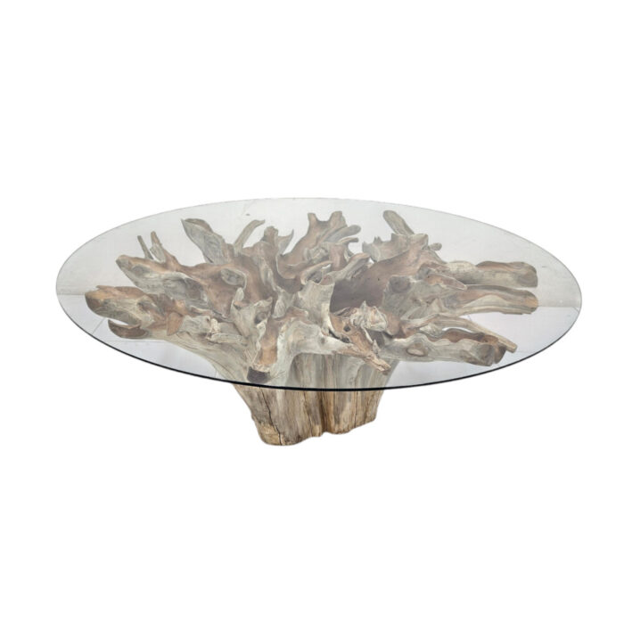 Teak-Root-Scoop-Dining-Table-INJ0770A1-Top-Front.jpg