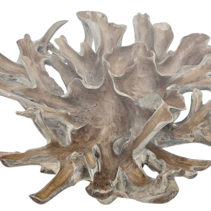 Teak-Root-Scoop-Dining-Table-Main-INJ0757A10-Close.jpg