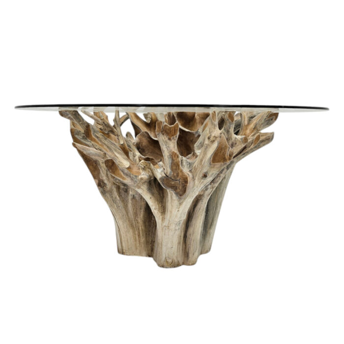 Teak-Root-Scoop-Dining-Table-Main-INJ0757A10-Front.jpg