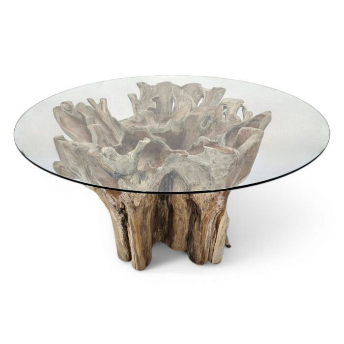Teak-Root-Scoop-Dining-Table-Main-INJ0757A9.jpg
