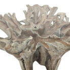 Teak-Root-Scoop-Dining-Table-Main-INJ0757A9-Close.jpg
