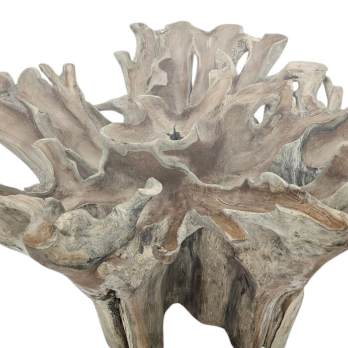 Teak-Root-Scoop-Dining-Table-Main-INJ0757A9-Close.jpg