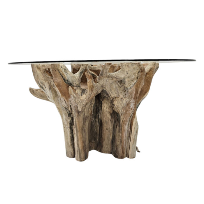 Teak-Root-Scoop-Dining-Table-Main-INJ0757A9-Front.jpg