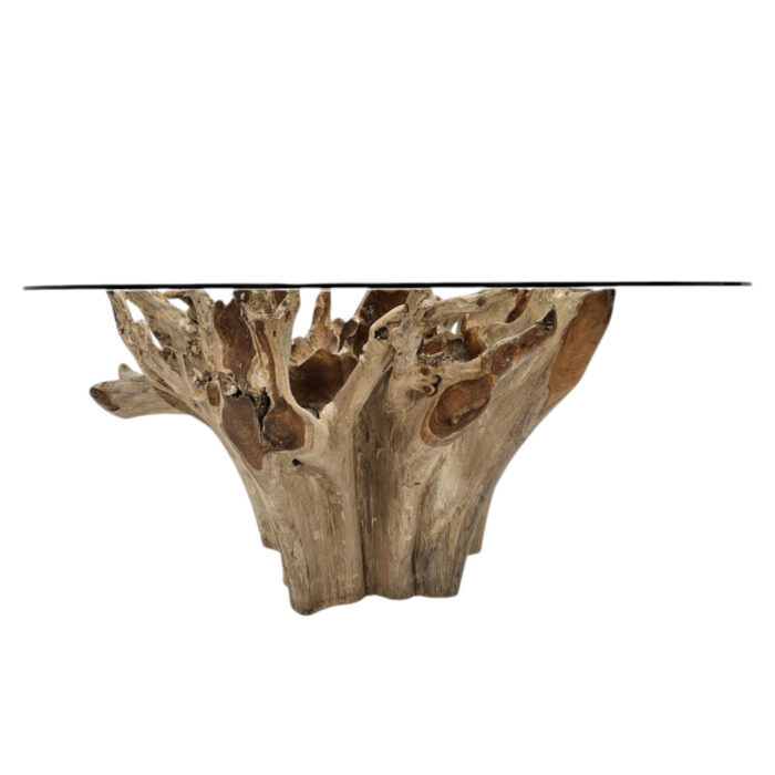 Teak-Root-Scoop-Dining-Table-Main-INJ0760A5-Front.jpg